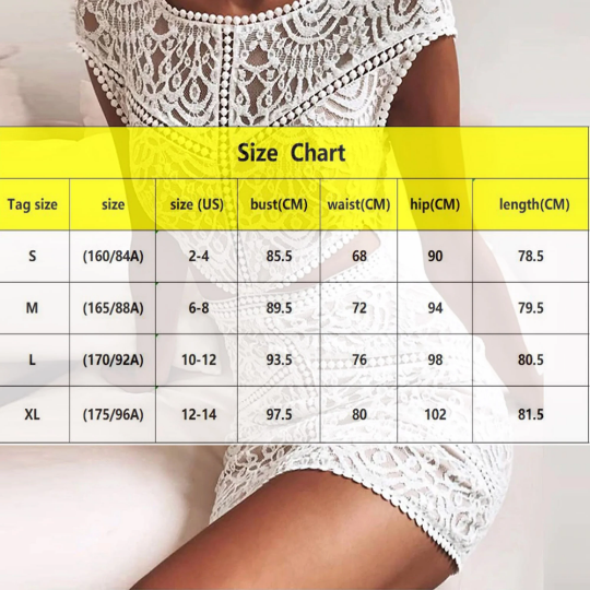 Elegant Solid Crochet Lace Mesh Mini Dress