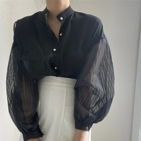 Vintage Transparent Lantern Mesh Sleeves Blouse (One Size)