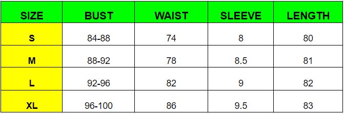 Embriodery Ruffle Ruched Mini Dress