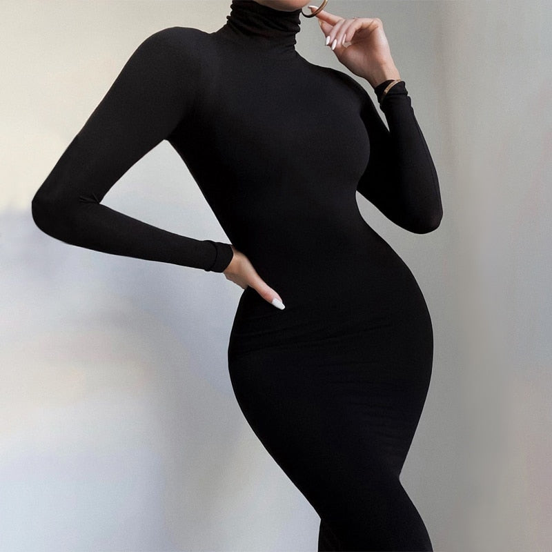 Skinny Turtleneck Bodycon Jumpsuit