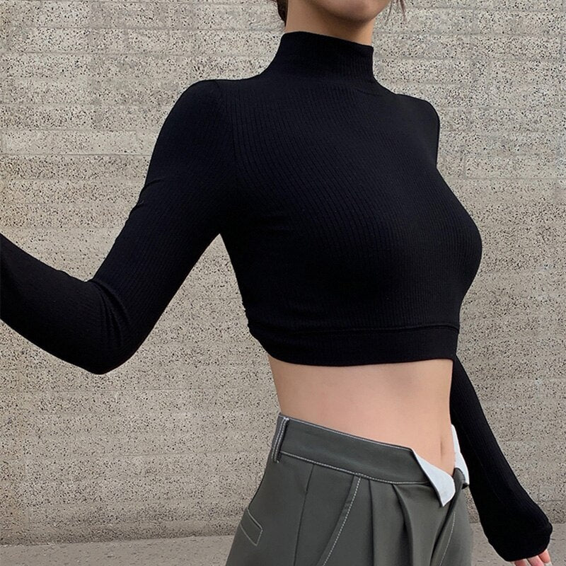Half Turtleneck Knitted Crop Top