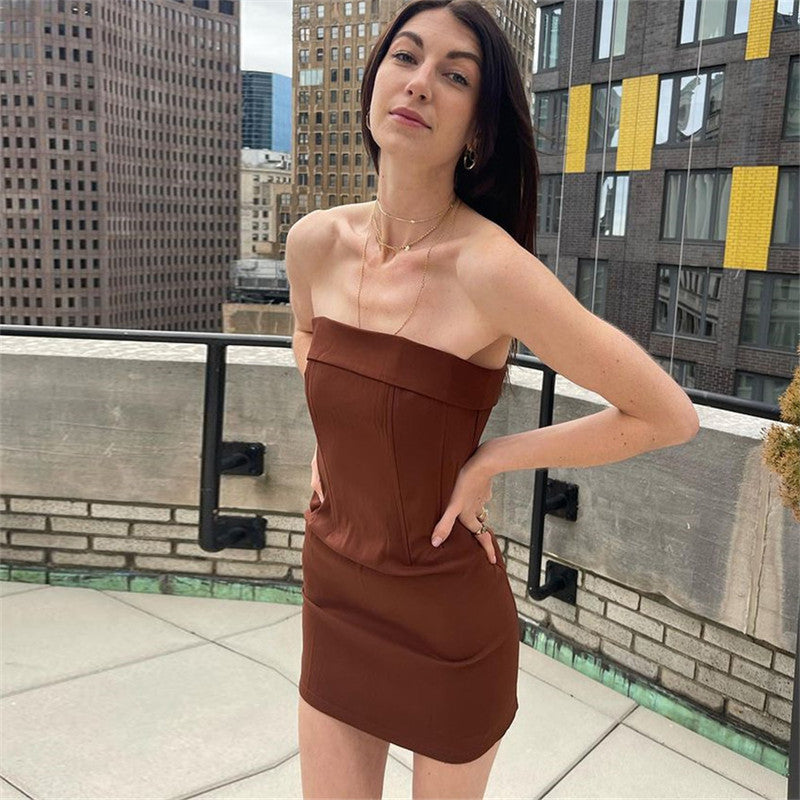 Elegant Chic Tube Party Dress