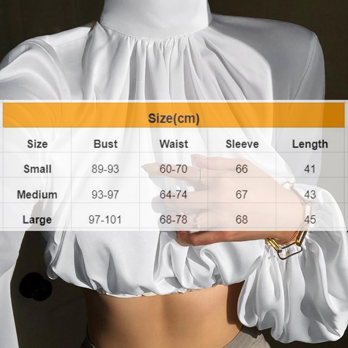Casual Fashion Silk Lantern Sleeves Crop Top