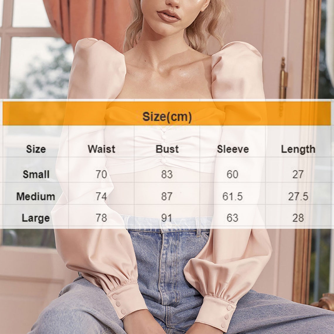 Trendy Puff Shoulder Long Lantern Sleeves Top