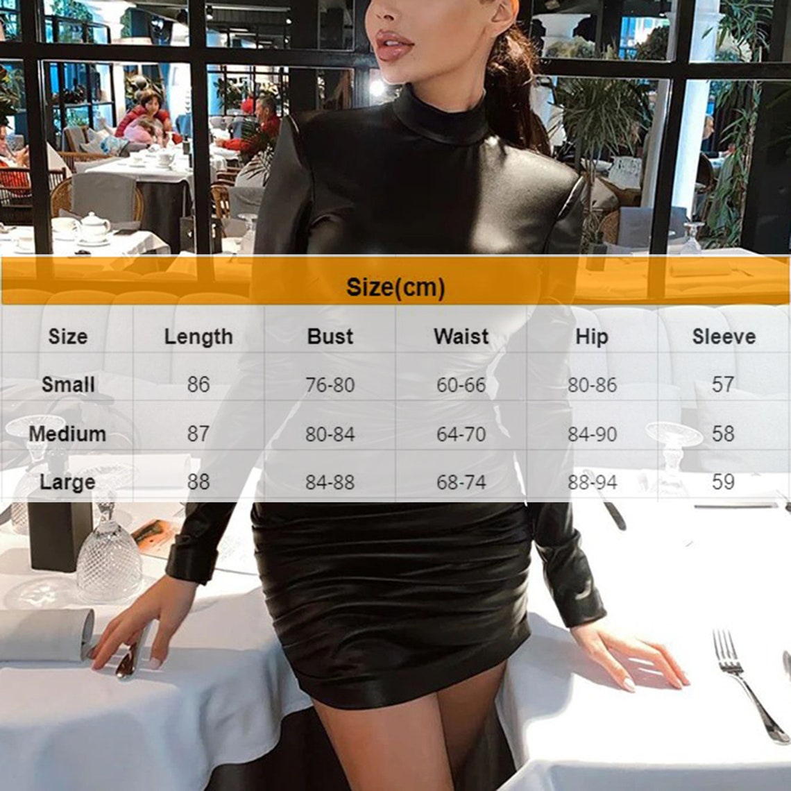Stylish High Neck Leather Slim Bodycon Dress