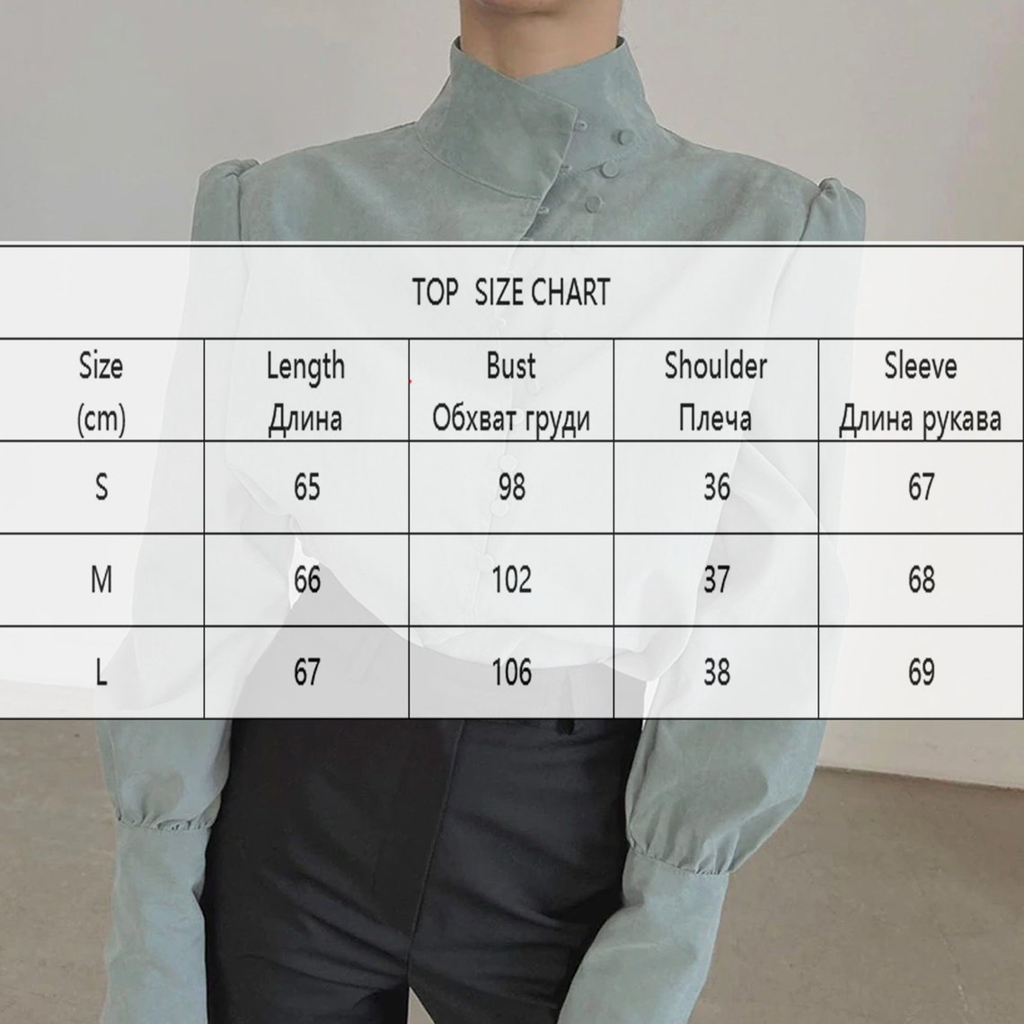 Elegant Turtleneck Puff Shoulder Blouse