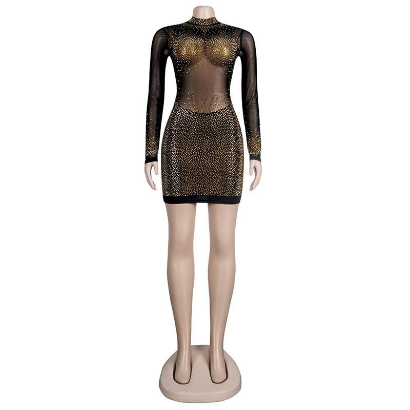 Sparkling See Through Mesh Mini Dress