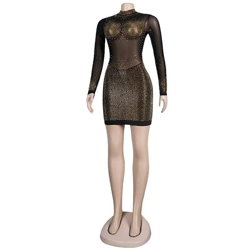 Sparkling See Through Mesh Mini Dress