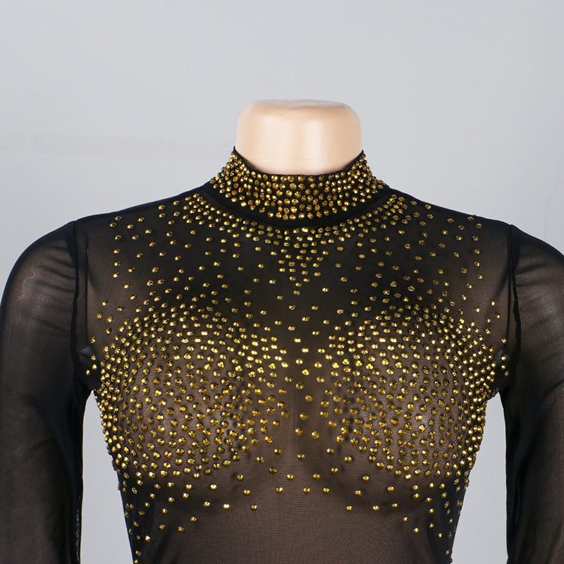 Sparkling See Through Mesh Mini Dress