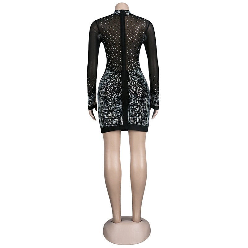 Sparkling See Through Mesh Mini Dress