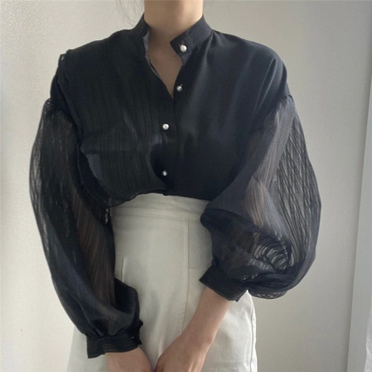 Vintage Transparent Lantern Mesh Sleeves Blouse (One Size)