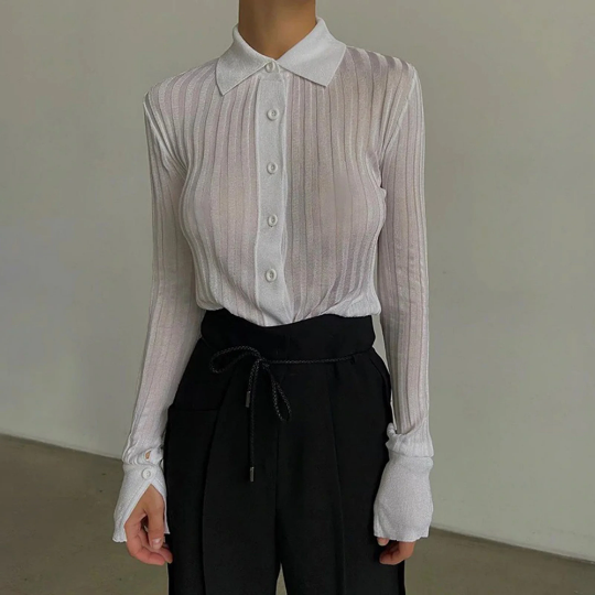 Transparent Turn Down Collar Style Women's Long Sleeves Top
